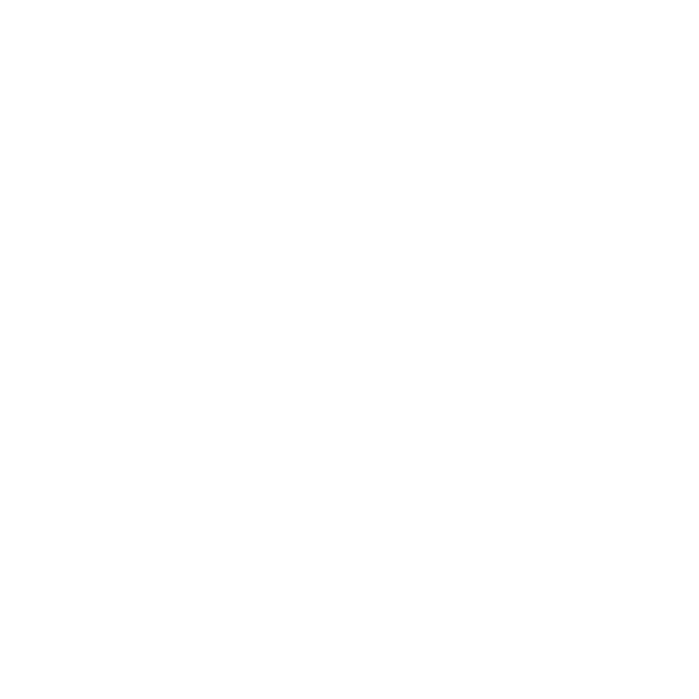 Flying Whale Wine logo